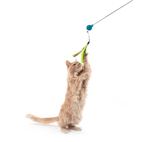 Jackson Galaxy Cat Toys Review