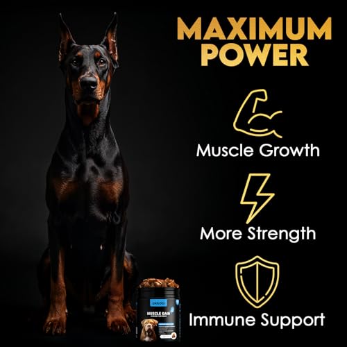 Best High Protein Dog Treats For Weight Gain