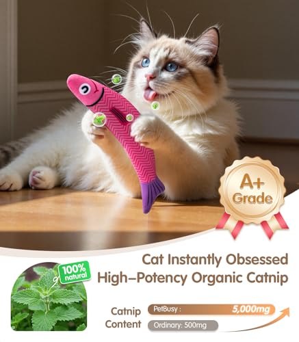 Top 5 Best Cat Toys For Indoor Cats In 2025