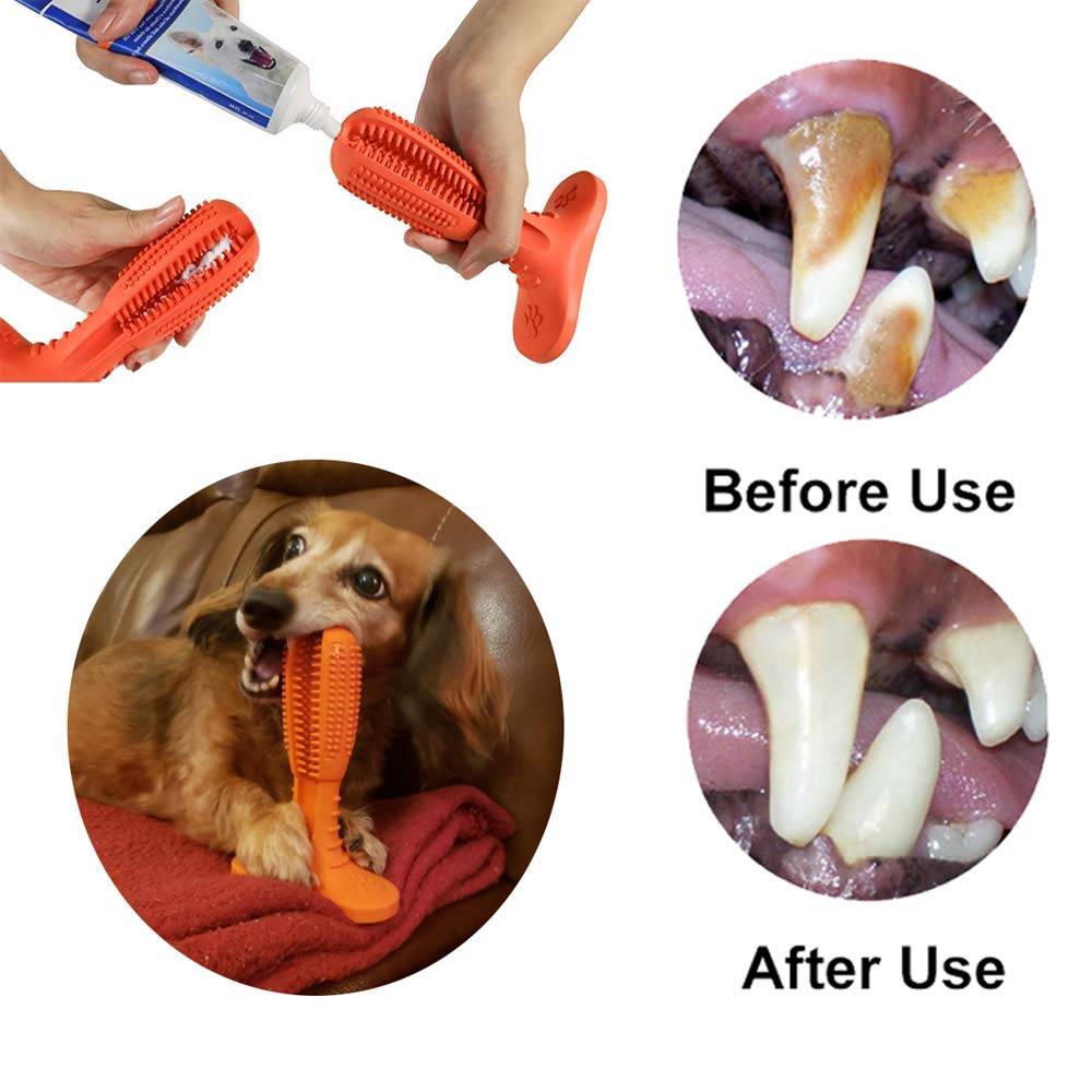 Southpaw Dog Tooth Brush
