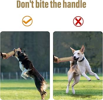 Top 5 Best Bite Training Toys For Dogs
