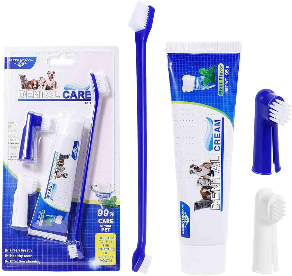 Best Dental Wand Cat Toothbrush