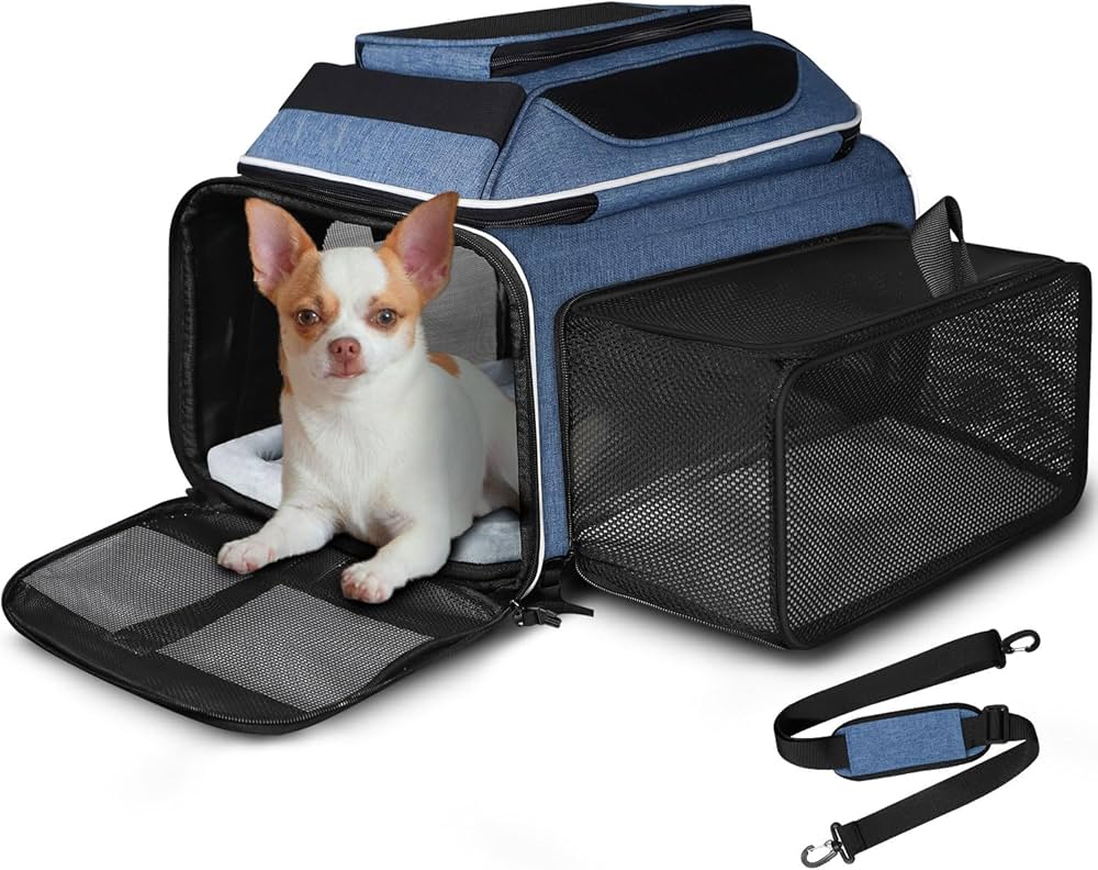Top 5 Best Soft Sided Dog Carrier Airline Approved