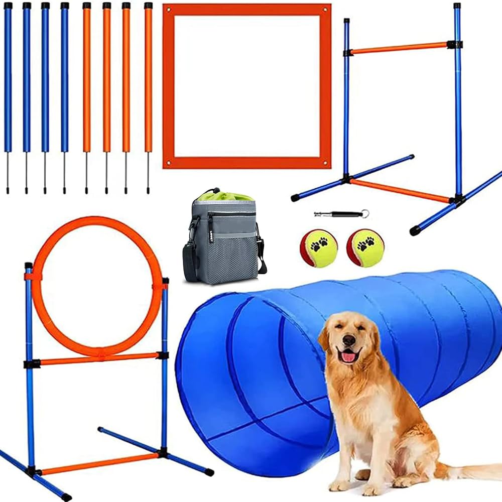 Top 5 Best Agility Training Toys For Dogs