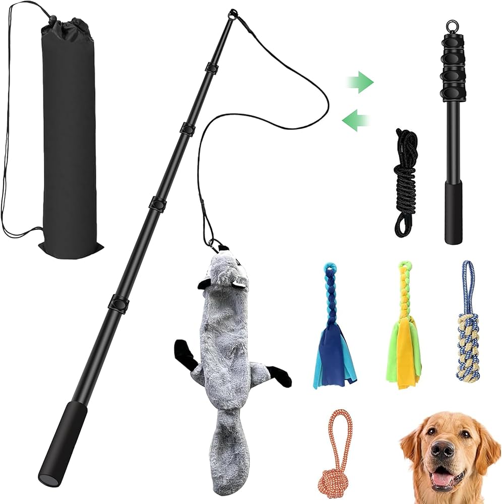 Top 5 Best Training Toys For Dogs