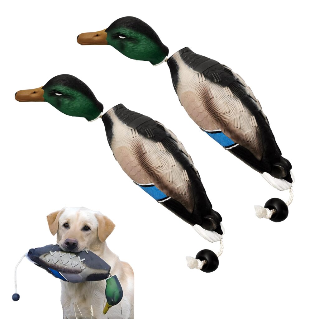 Hunting Training Toys For Dogs