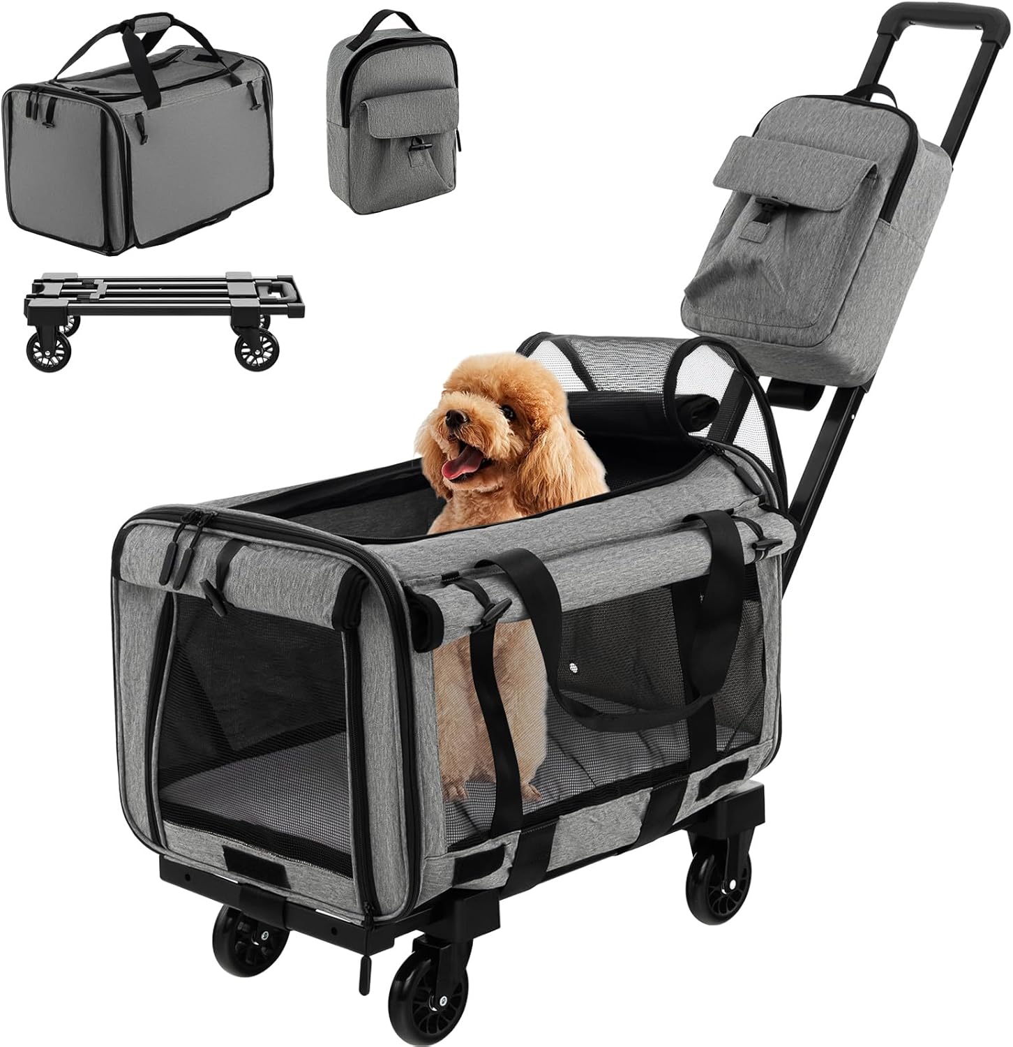 Airline Approved Pet Carrier For 30lb Dog