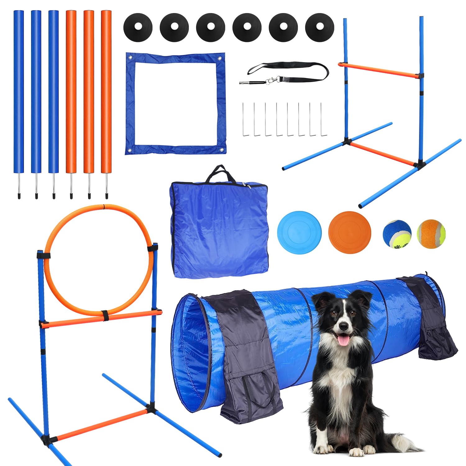 Professional Dog Agility Equipment