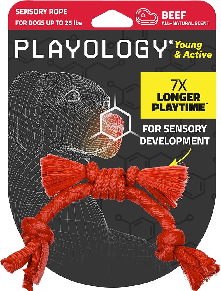 Scent Based Toys For Puppies