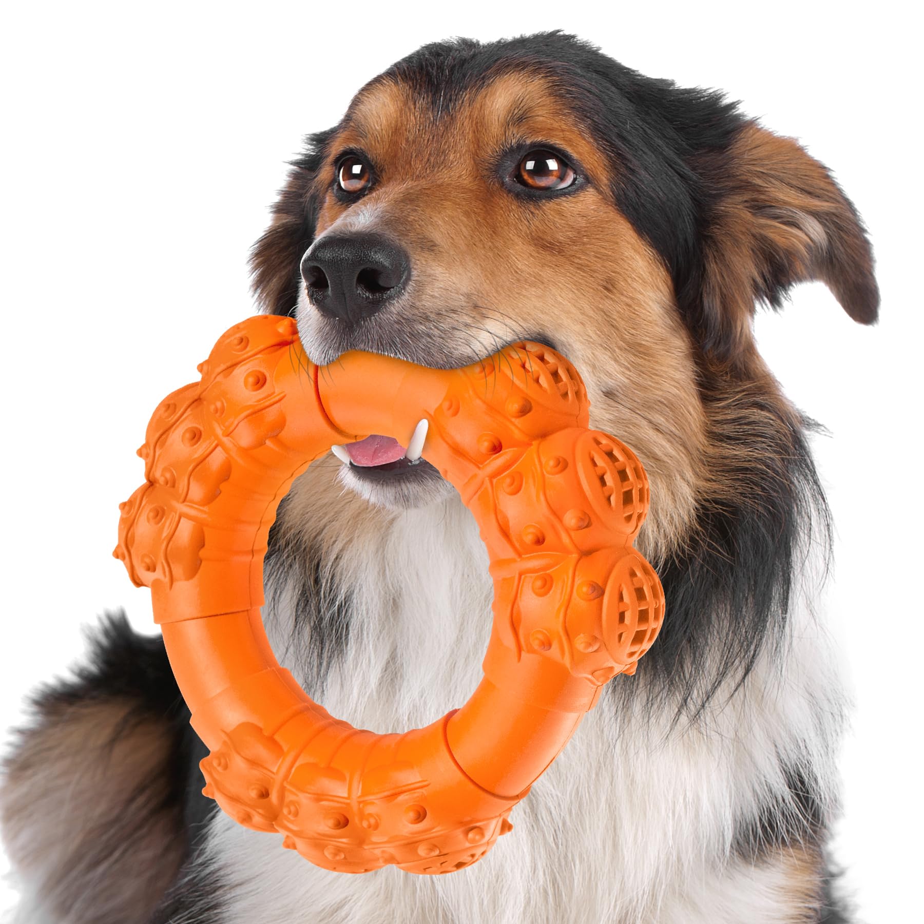 Large Outdoor Dog Toys For Aggressive Chewers Reviews