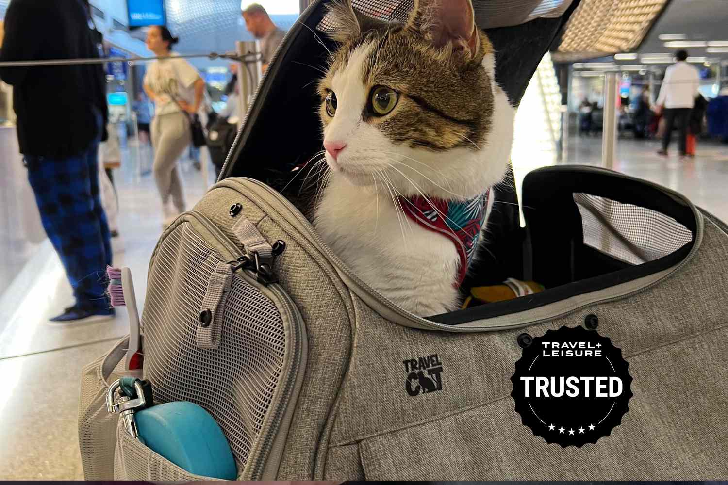 Best Luxury Pet Travel Bags Review