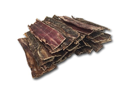 Top 5 Healthy Pet Snacks For Large Dogs