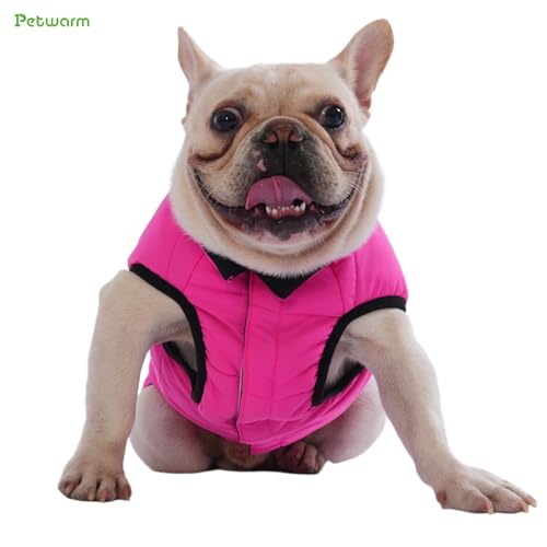 Best Waterproof Coat For Dog Walking