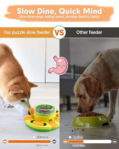 Best Dog Treat Puzzle Feeder Reviews
