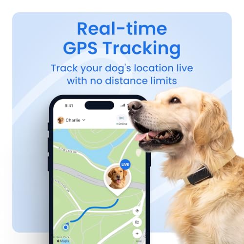 Best Dog GPS Tracker Chip Implant Reviews
