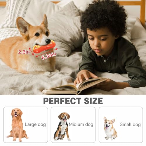 Best Indestructible Dog Toys For Aggressive Chewers