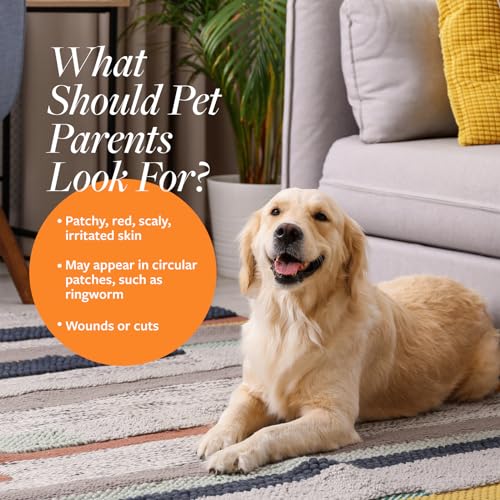 Medicated Cat Shampoo Review