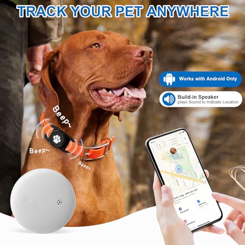 Pet Tracking Collar For Dogs Reviews