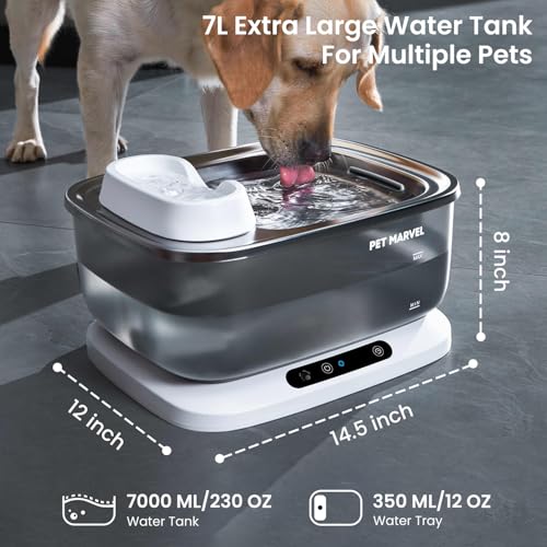 Best Automatic Pet Water Dispenser For Multi Cats