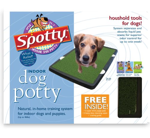 Top 5 Adopt A Pet Tracking