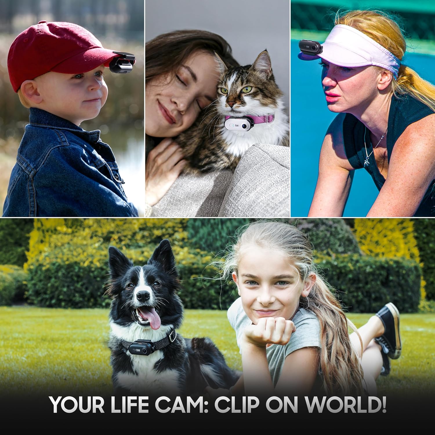 Best Dog Collar Camera with phone app