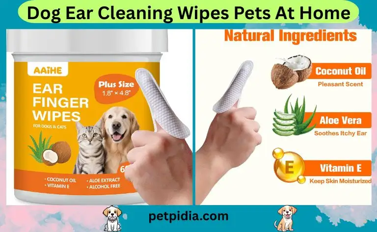 Best Dog Ear Cleaning Wipes Pets At Home