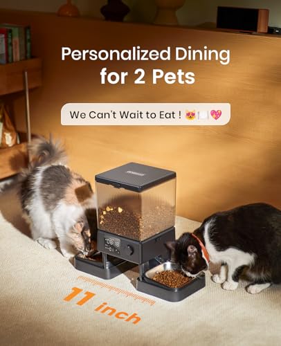 Best Automatic Cat Feeder 2 Bowls