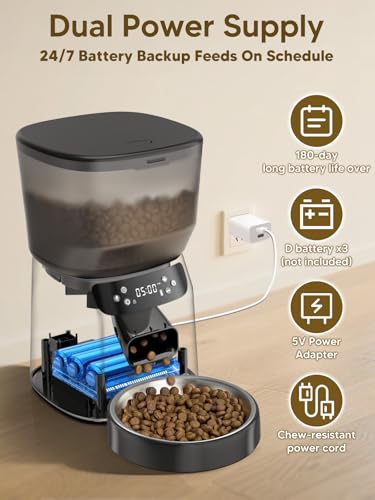 Best Automatic Cat Feeder And Water With Timer