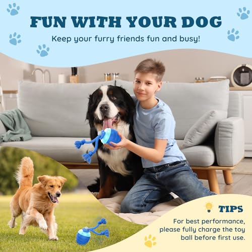 Top 5 Best Motion Sensor Toys For Dogs