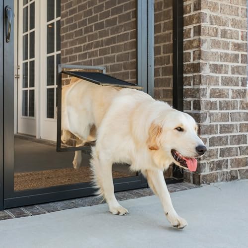 Best Screen Dog Door For Large Dogs