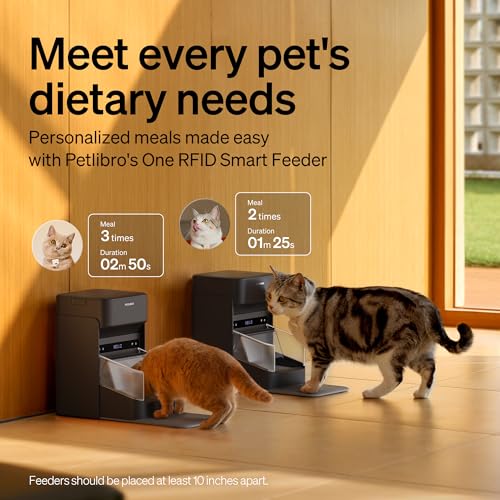 Best Automatic Pet Feeder With Collar Sensor
