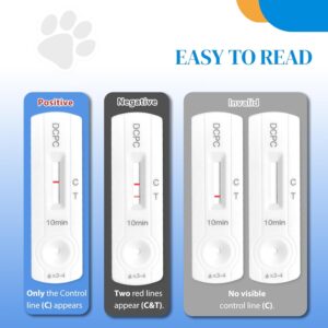 Best Pet Pregnancy Test Kit Dogs And Cats