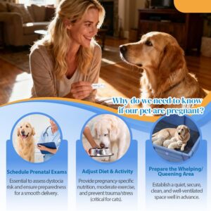 Best pet pregnancy test kit Dogs And Cats