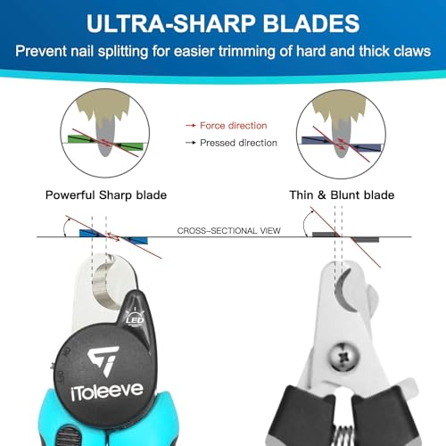 Best And Safest Dog Nail Clippers For Large Dogs