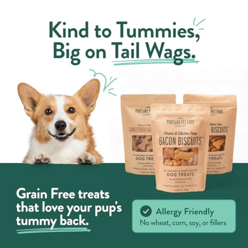 Top 5 Best Healthiest Dog Treats Reviews