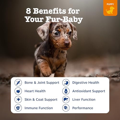 Best Vitamin For Small Puppies