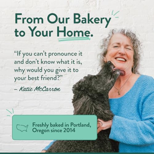 Best Healthy Human Treats For Puppies