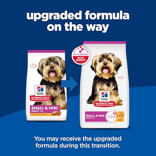 Healthiest Dry Dog Food For Small Breeds