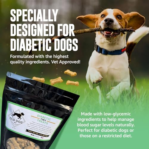 Top Vet Recommended Dog Treats For Small Dogs