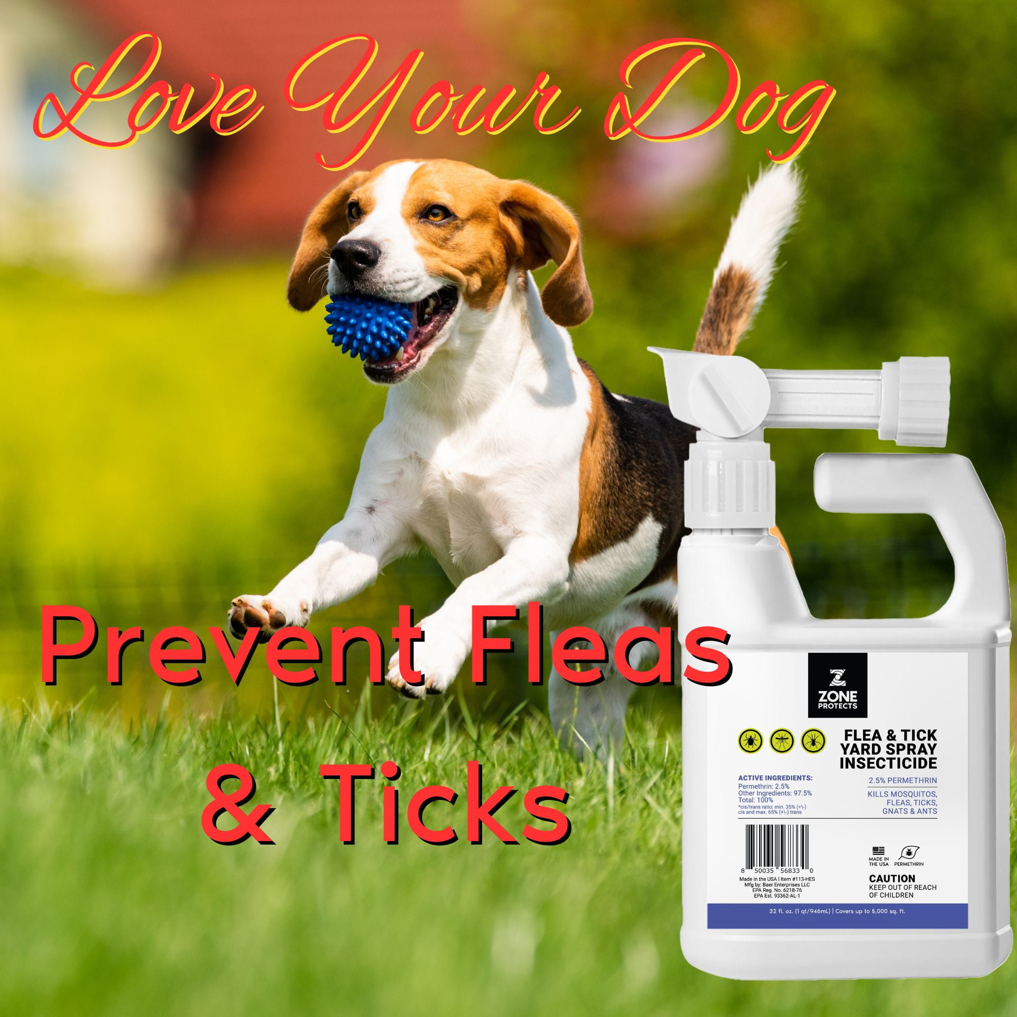 Best Non Toxic Flea And Tick Prevention For Dogs
