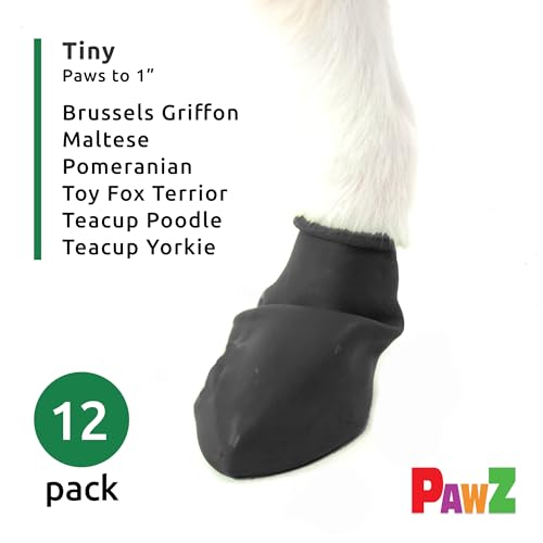 Top 10 Best Dog Boots For Small Dogs