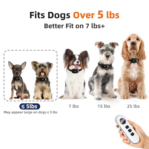 Top 5 Best Electronic Training Collar For Cat Reviews