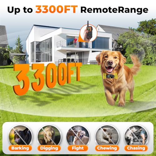 Best Dog Training Collars With Remote For Two Dogs