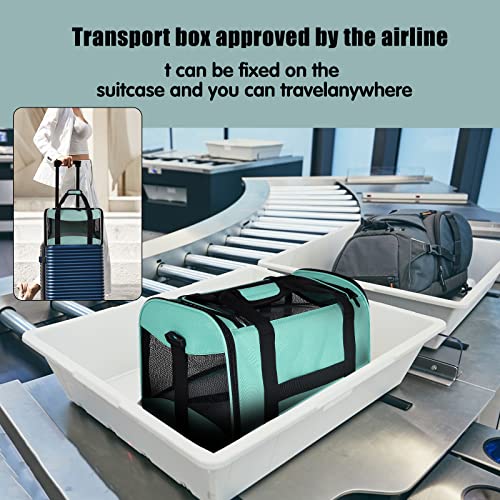 Best Cat Bag Carrier For Airline Travel