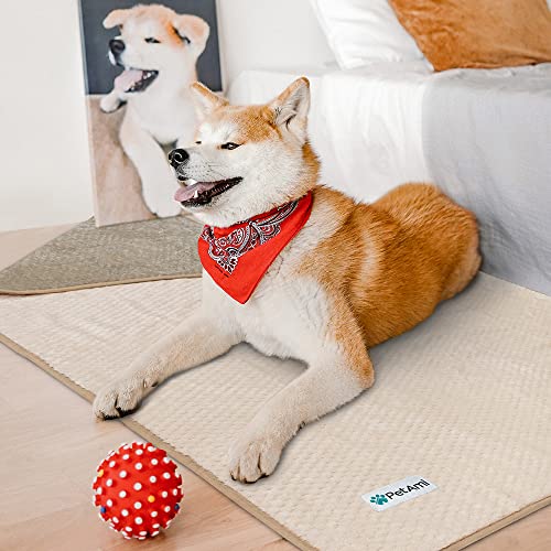 Petami Waterproof Dog Blanket Review