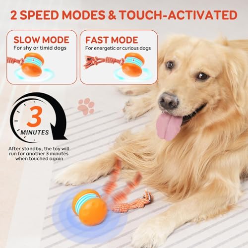 Best Rated Interactive Dog Toys