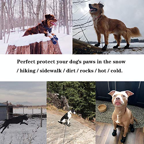 Top 10 Best Large Dogs Boots With Lights
