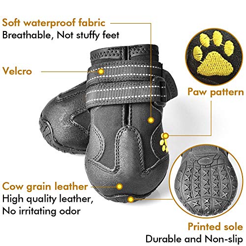 Top 10 Best Dog Shoes For Running