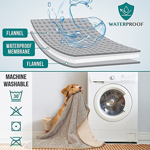 Best Washable Dog Blanket For Couch