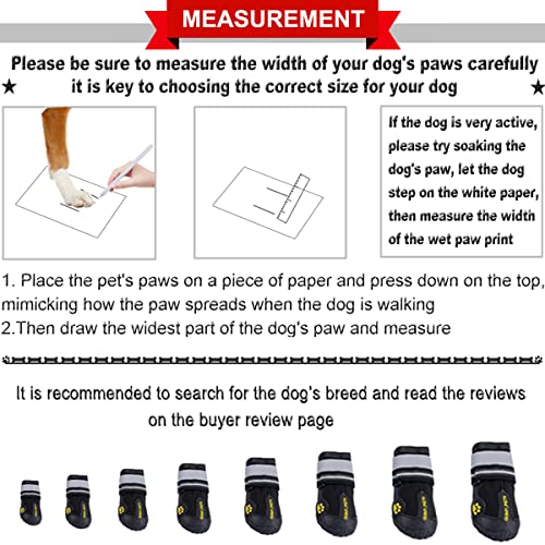 Best Dog Shoes For Small Dogs